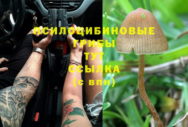 соль курить ск Арсеньев