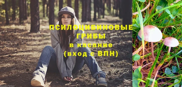 ПСИЛОЦИБИНОВЫЕ ГРИБЫ Балабаново