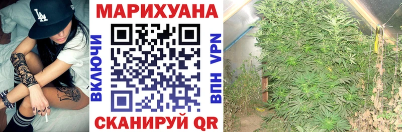 Бошки Шишки OG Kush  Купить где  Палласовка 